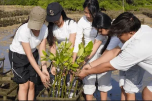 Ekonomi Berbagi (EB 2)” Upaya Mahasiswa FEB Undiknas dalam Revitalisasi Mangrove dan Pelestarian Pesisir